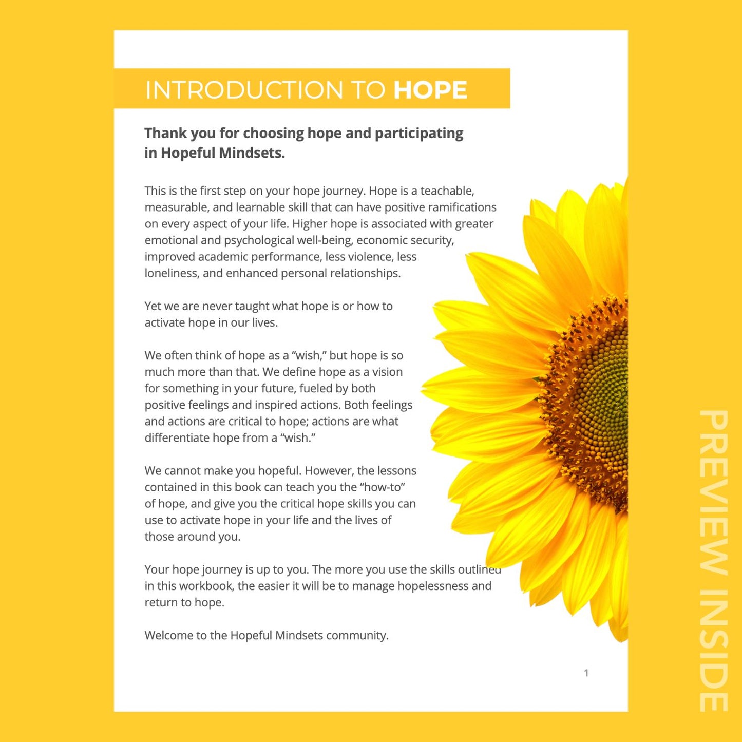 Hopeful Mindsets® in the Workplace Overview Workbook (Digital)