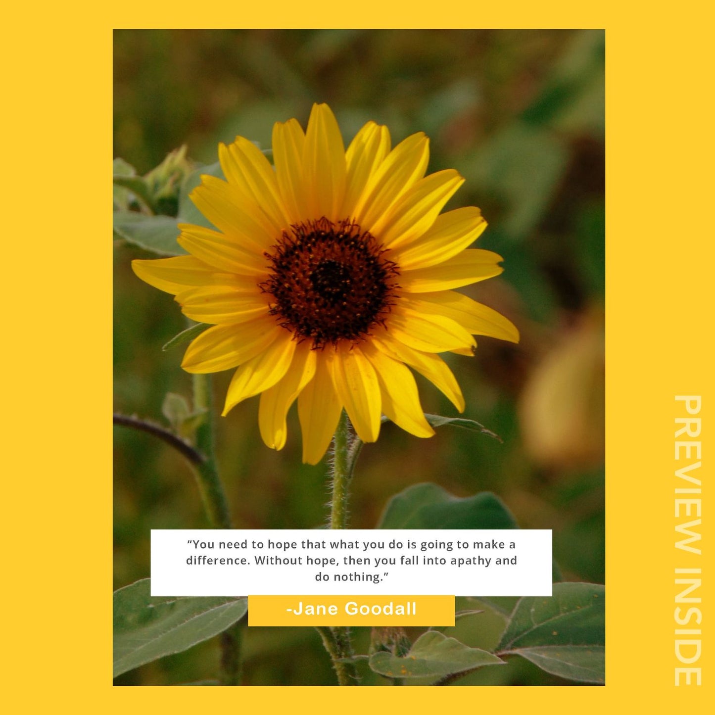Hopeful Minds Deep Dive Educator Guide (Print)